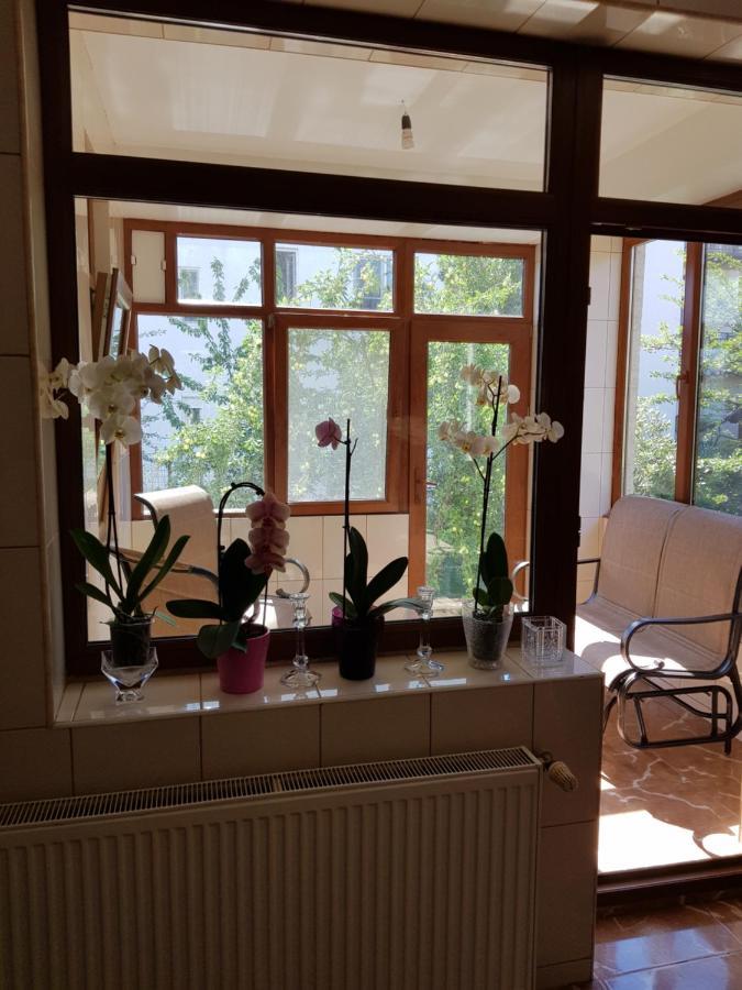 Dativo House Năvodari Zewnętrze zdjęcie
