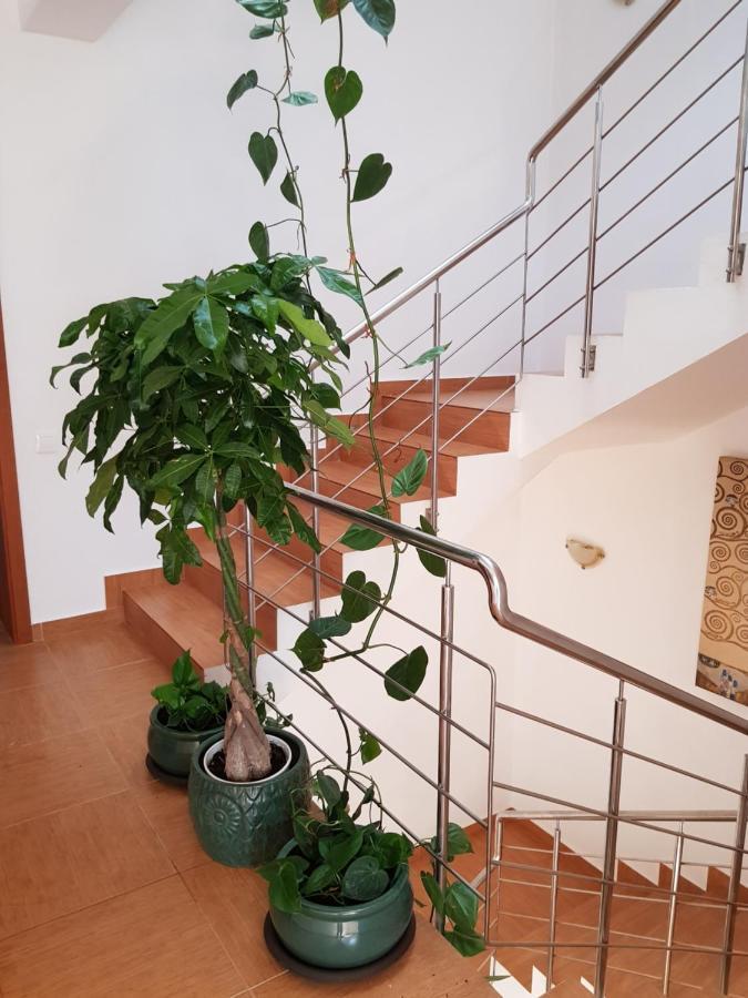 Dativo House Năvodari Zewnętrze zdjęcie