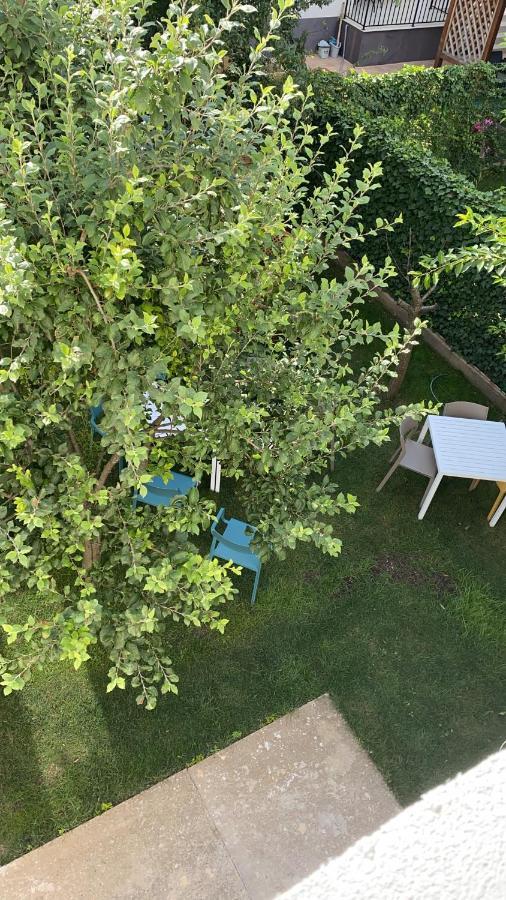 Dativo House Năvodari Zewnętrze zdjęcie